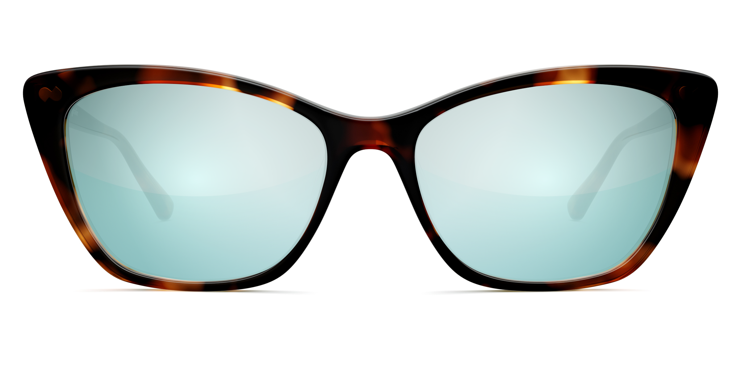 The Wanda - Tortoise - Image 7