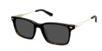 The Kirby - Tortoise Acetate Gold Metal Sun
