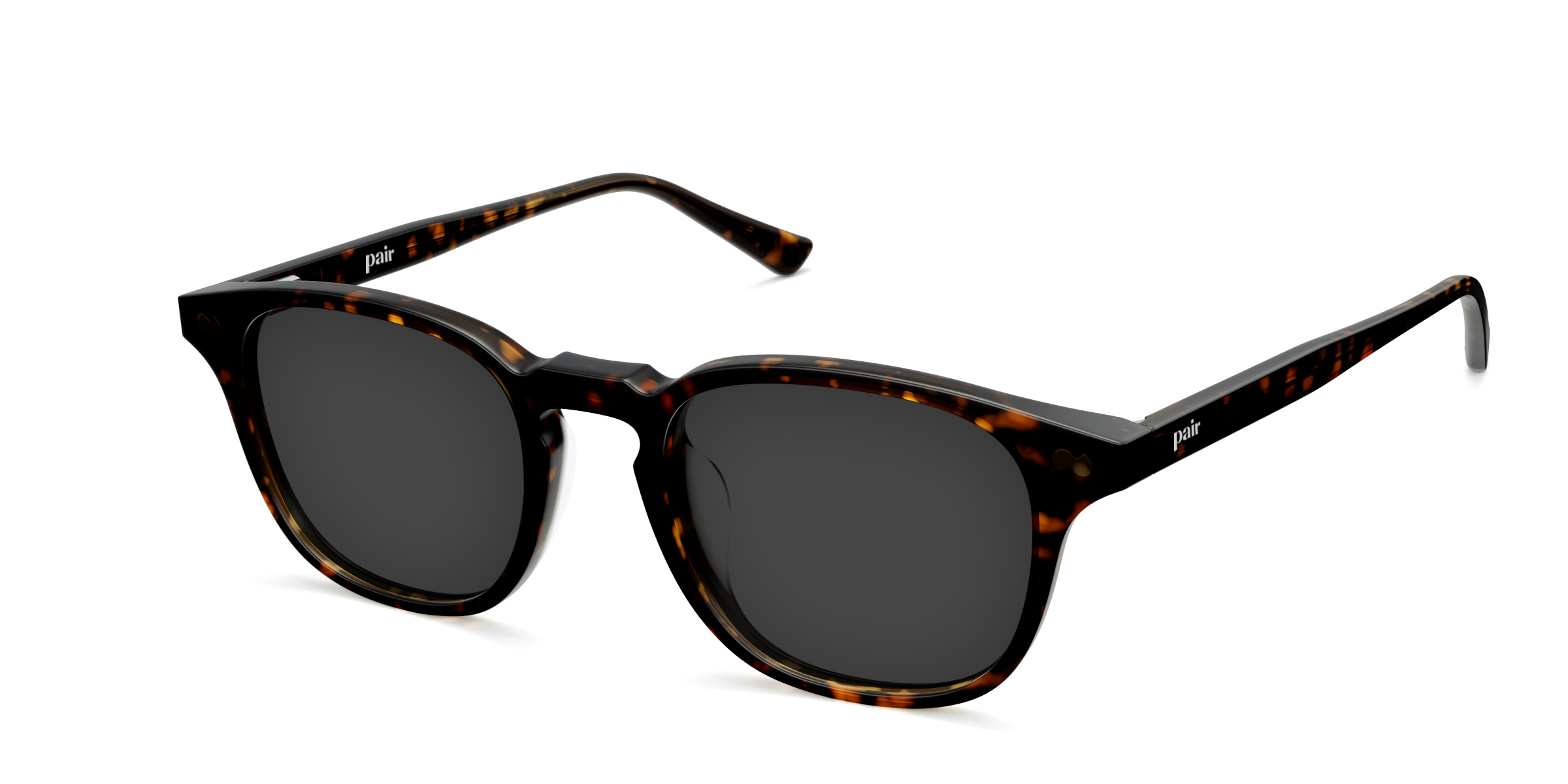 The Otis - Tortoise Sun - Image 3