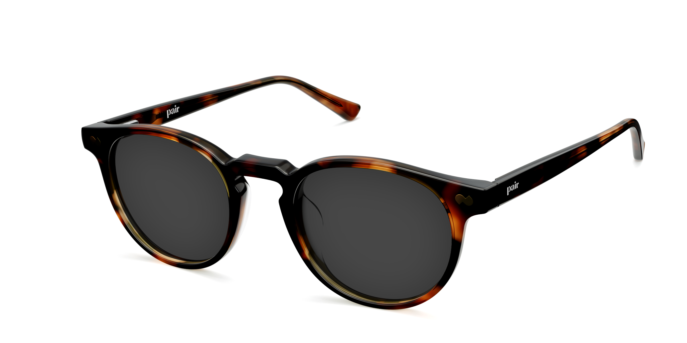 The Soto - Tortoise Sun - Image 3