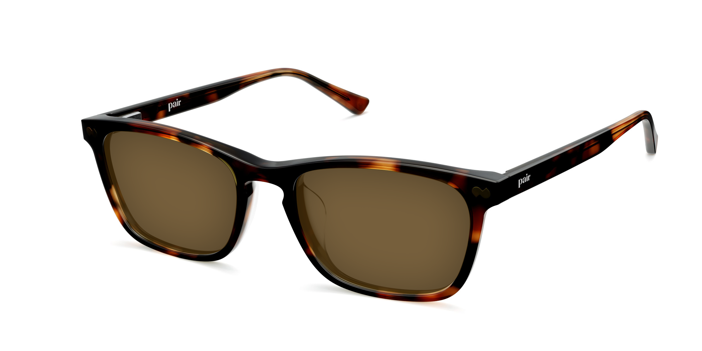 The Casper - Tortoise Sun - Image 4