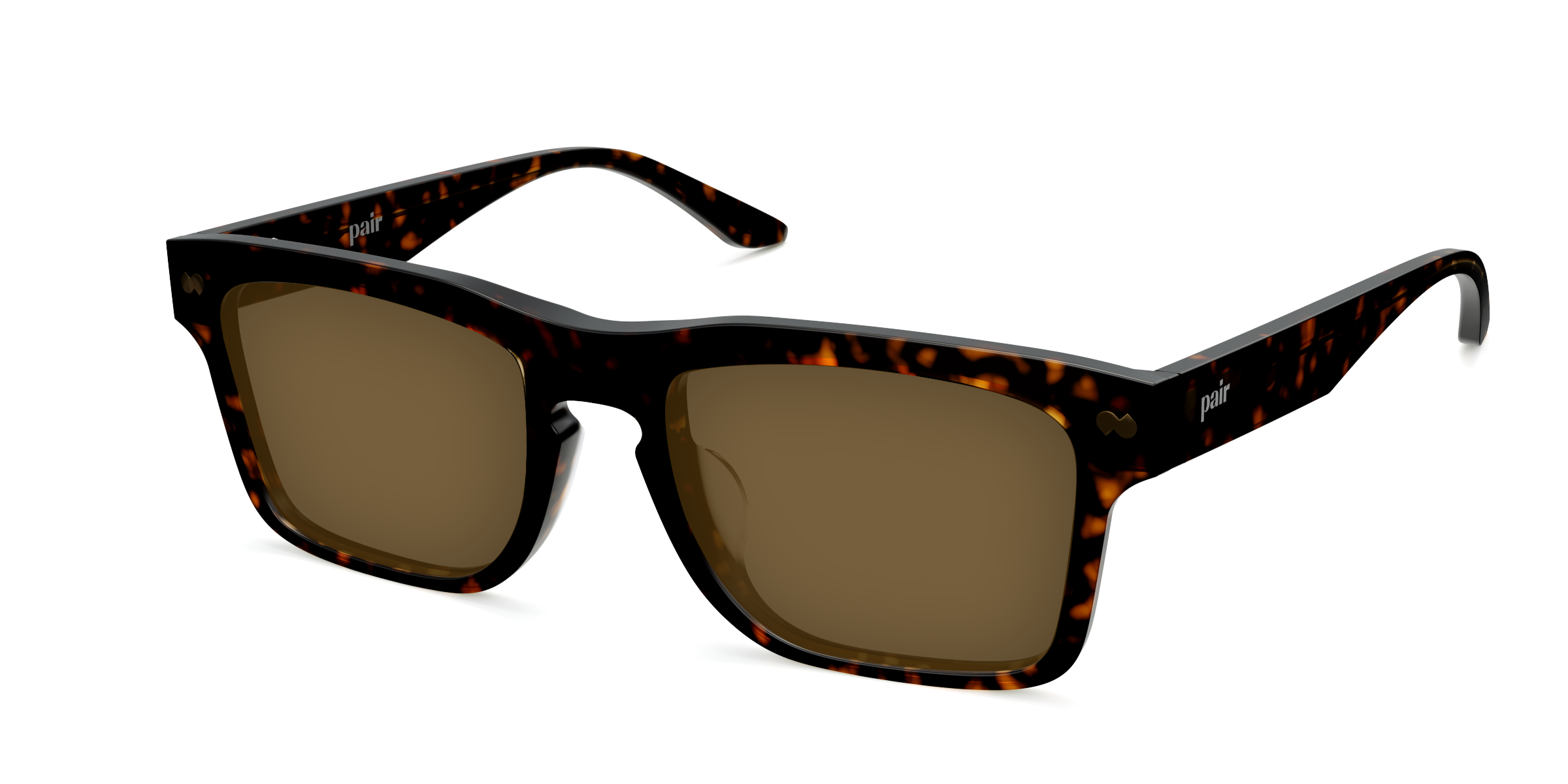 The Drew - Tortoise Sun - Image 4