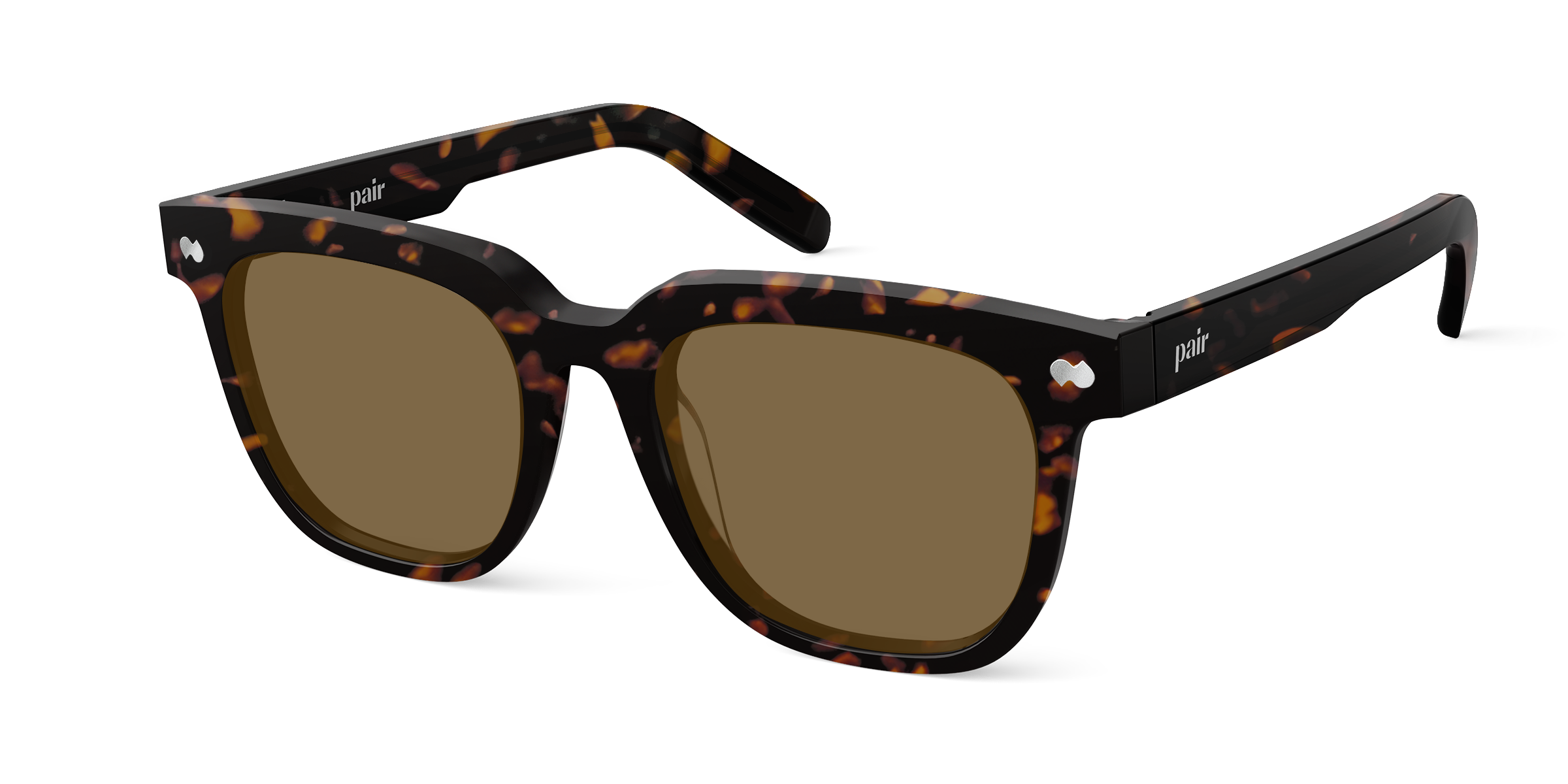The Payton - Tortoise Sun - Image 4