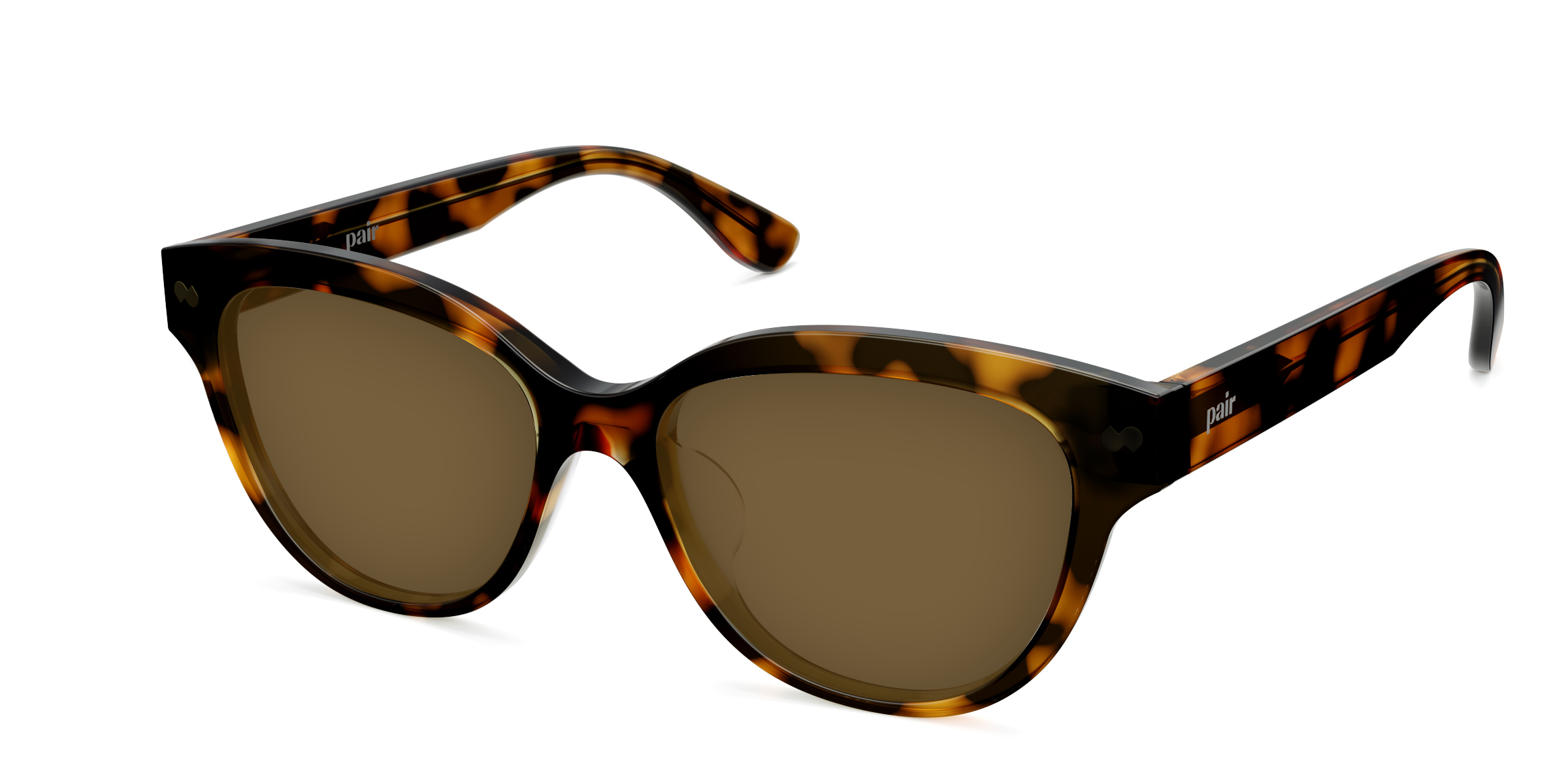 The Quinn - Tortoise Sun - Image 4