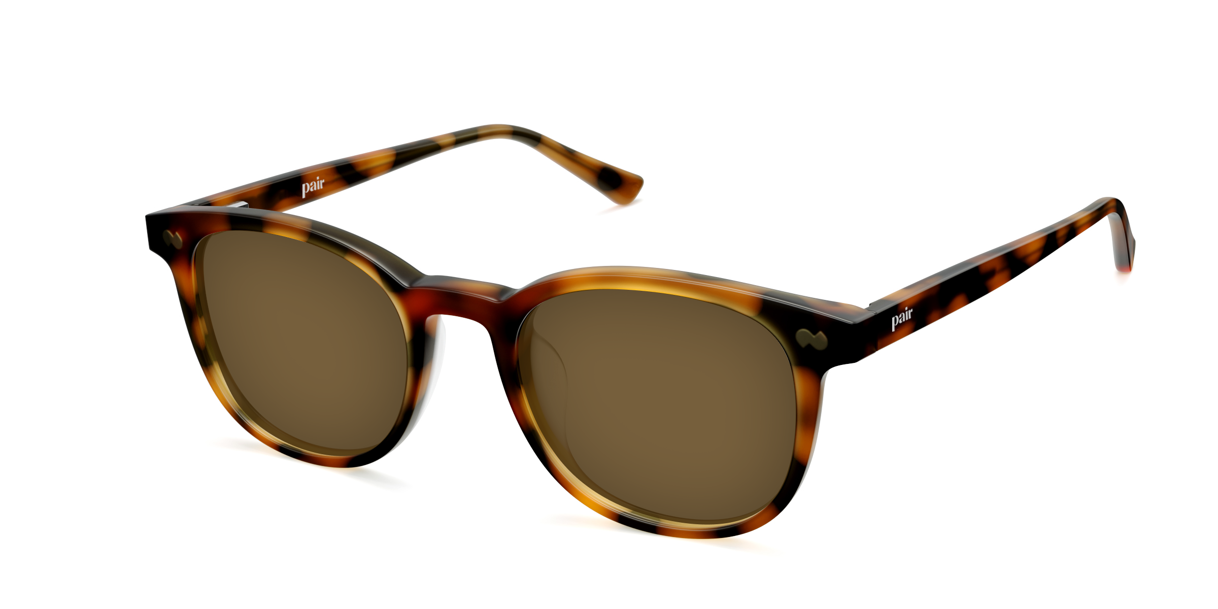 The Reese - Tortoise Sun - Image 4