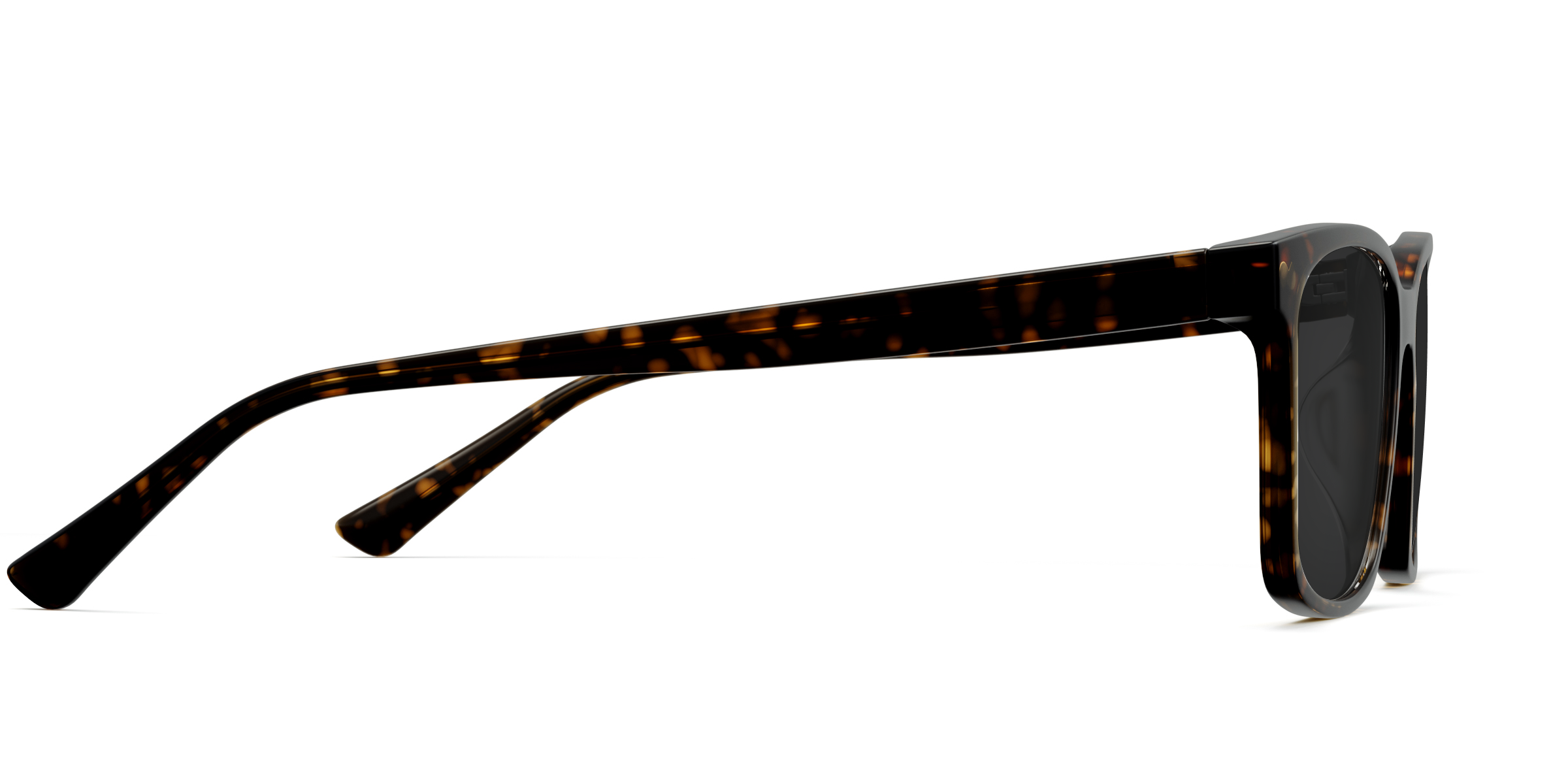 The Kirby - Tortoise Sun - Image 5