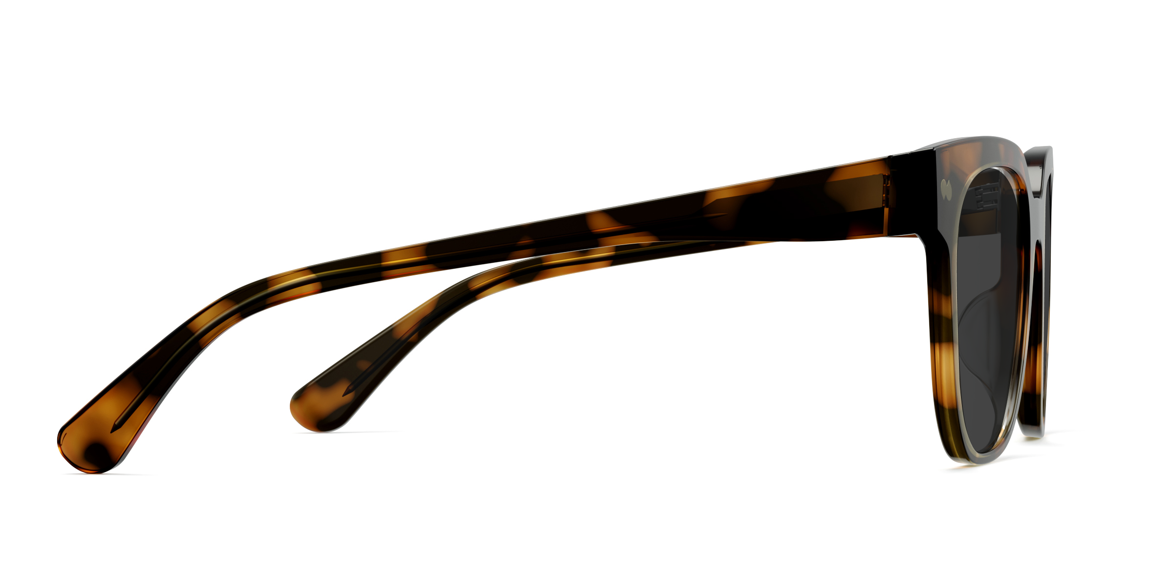 The Murphy - Tortoise Sun - Image 5