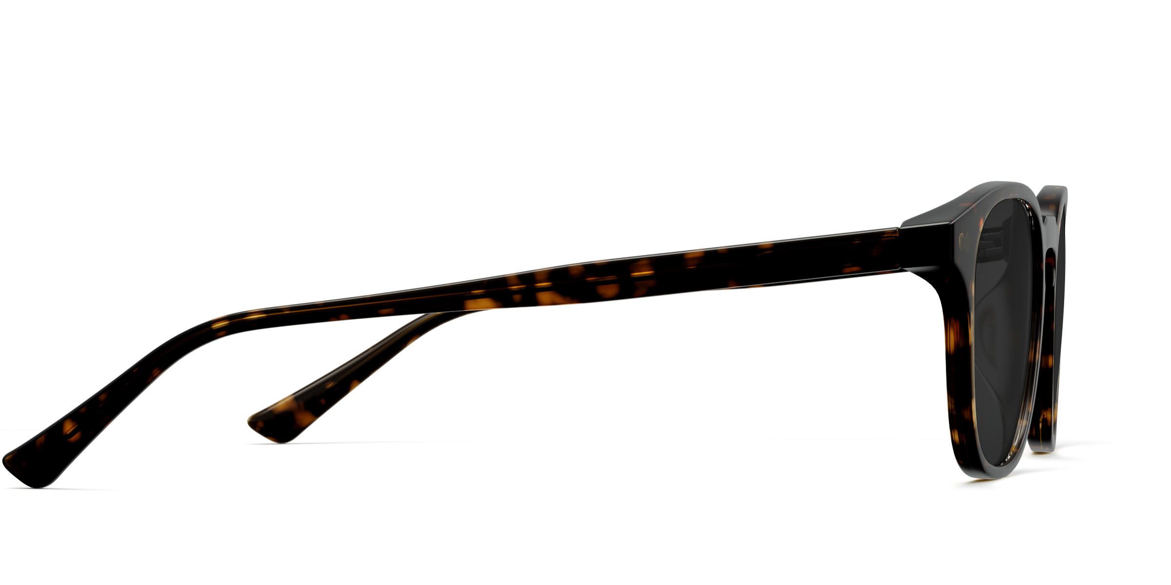The Otis - Tortoise Sun - Image 5