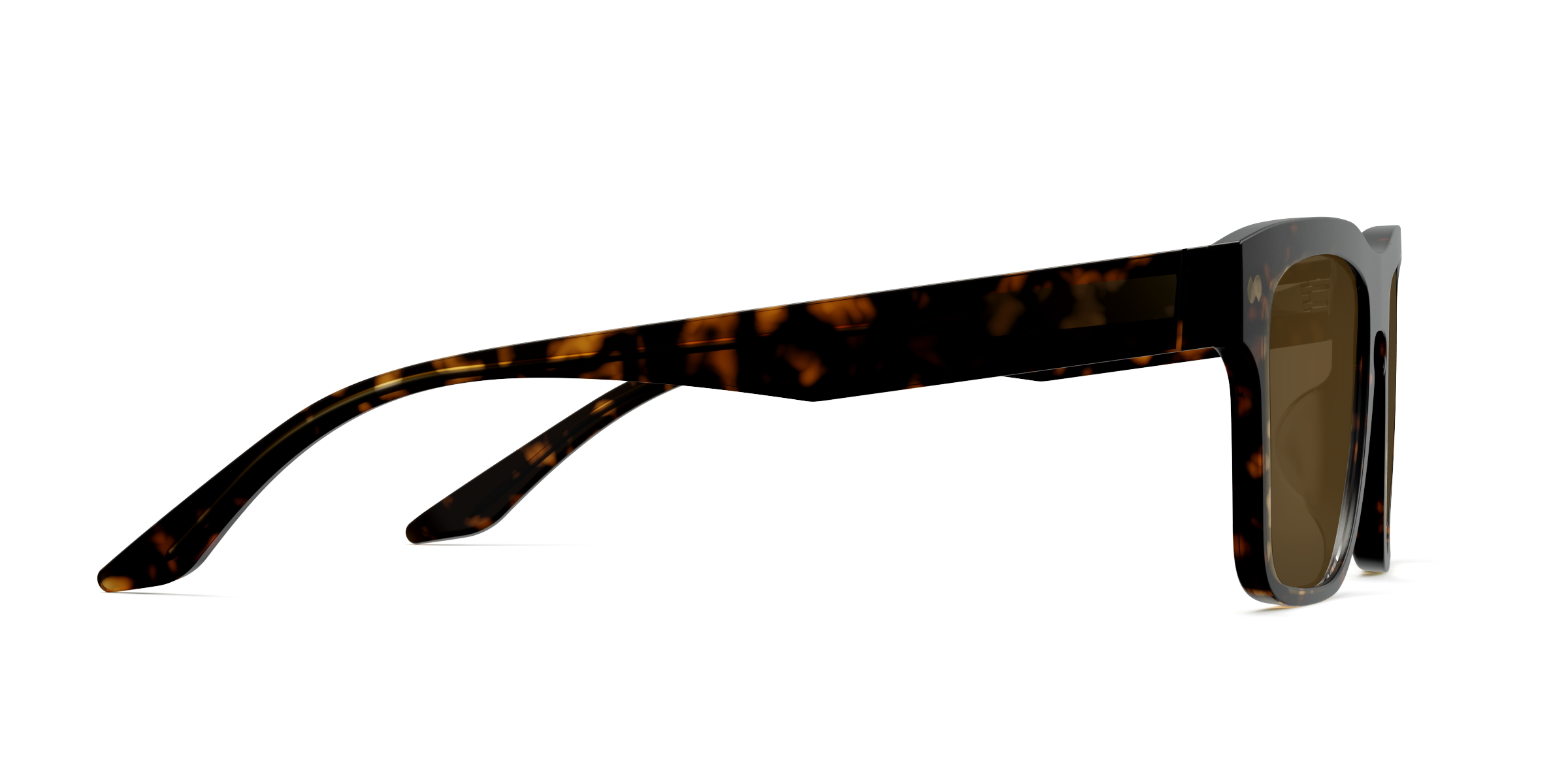 The Drew - Tortoise Sun - Image 6