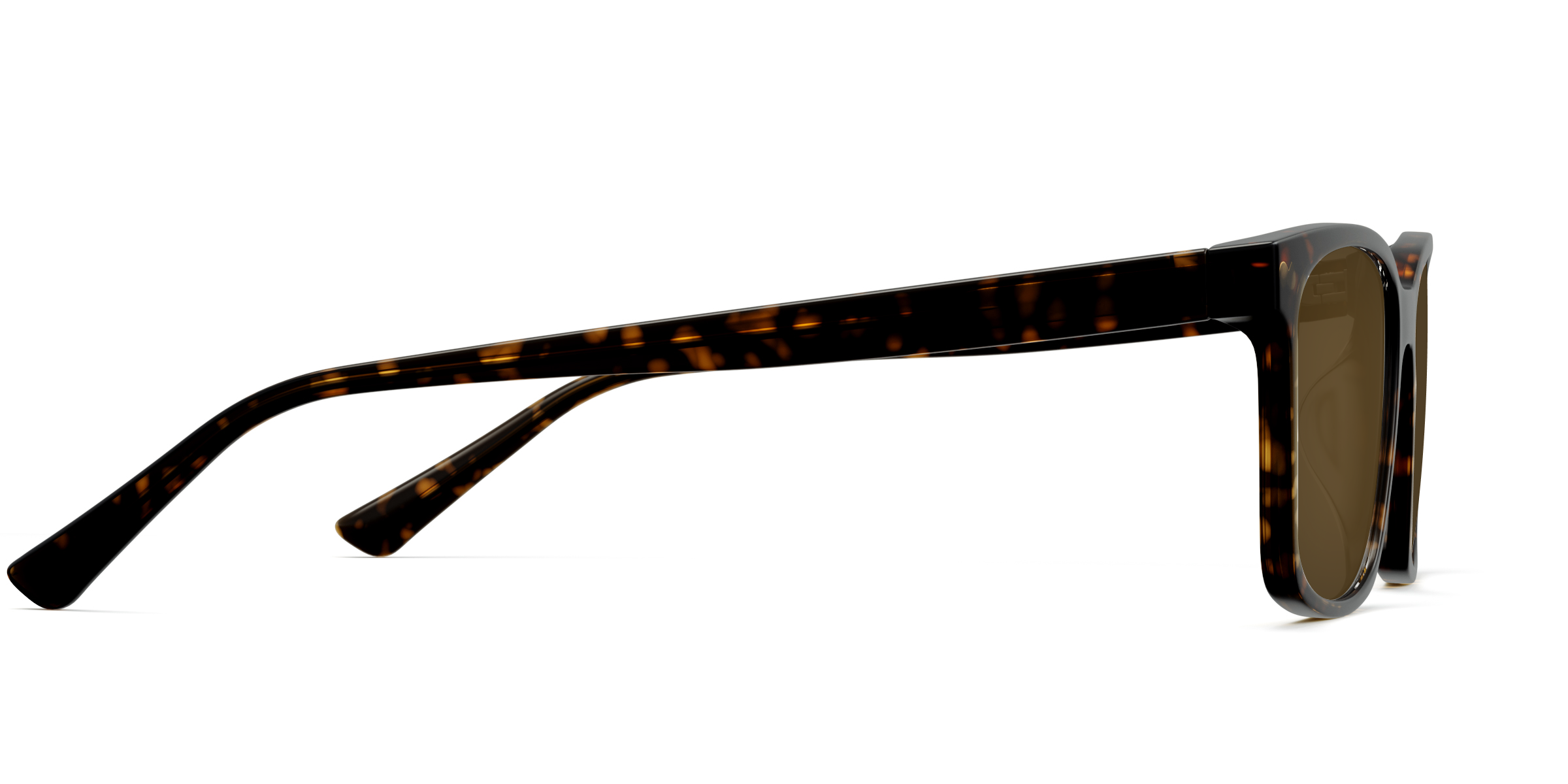 The Kirby - Tortoise Sun - Image 6