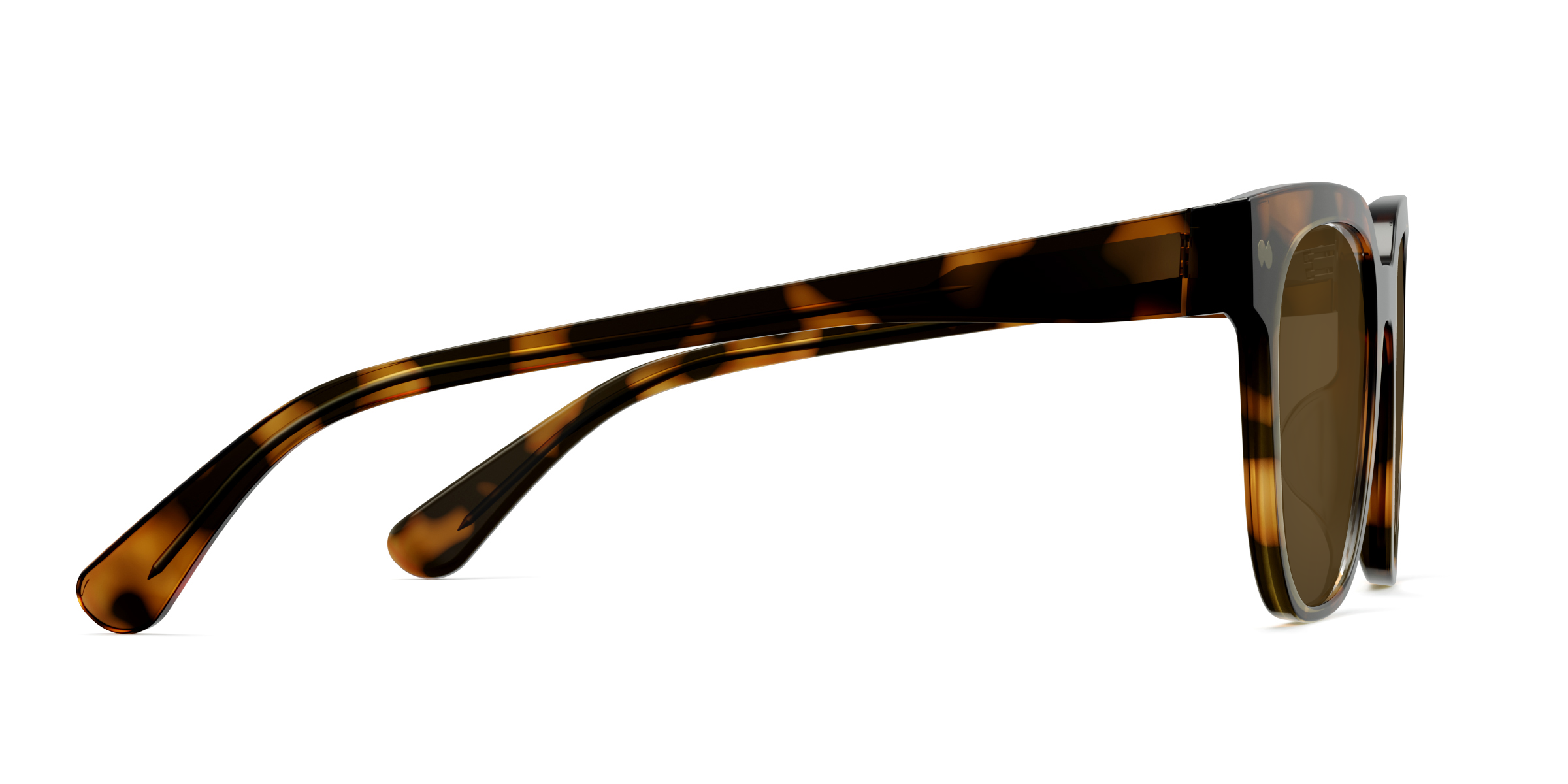 The Murphy - Tortoise Sun - Image 6