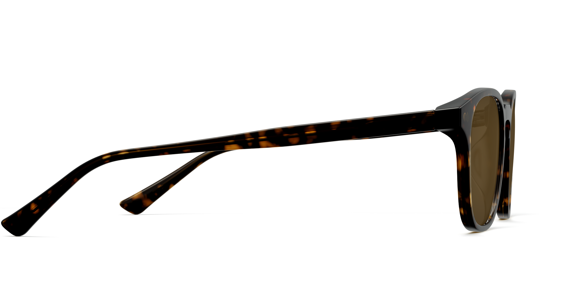 The Otis - Tortoise Sun - Image 6