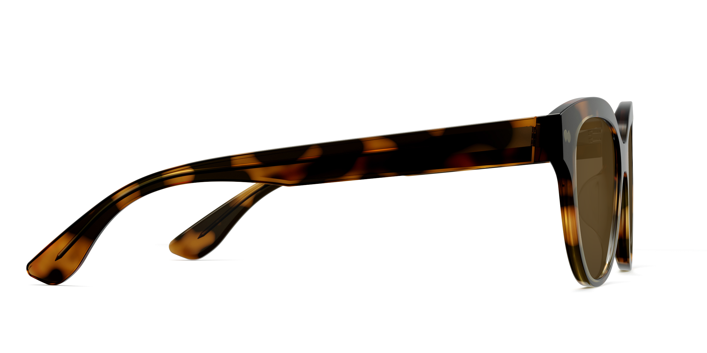 The Quinn - Tortoise Sun - Image 6