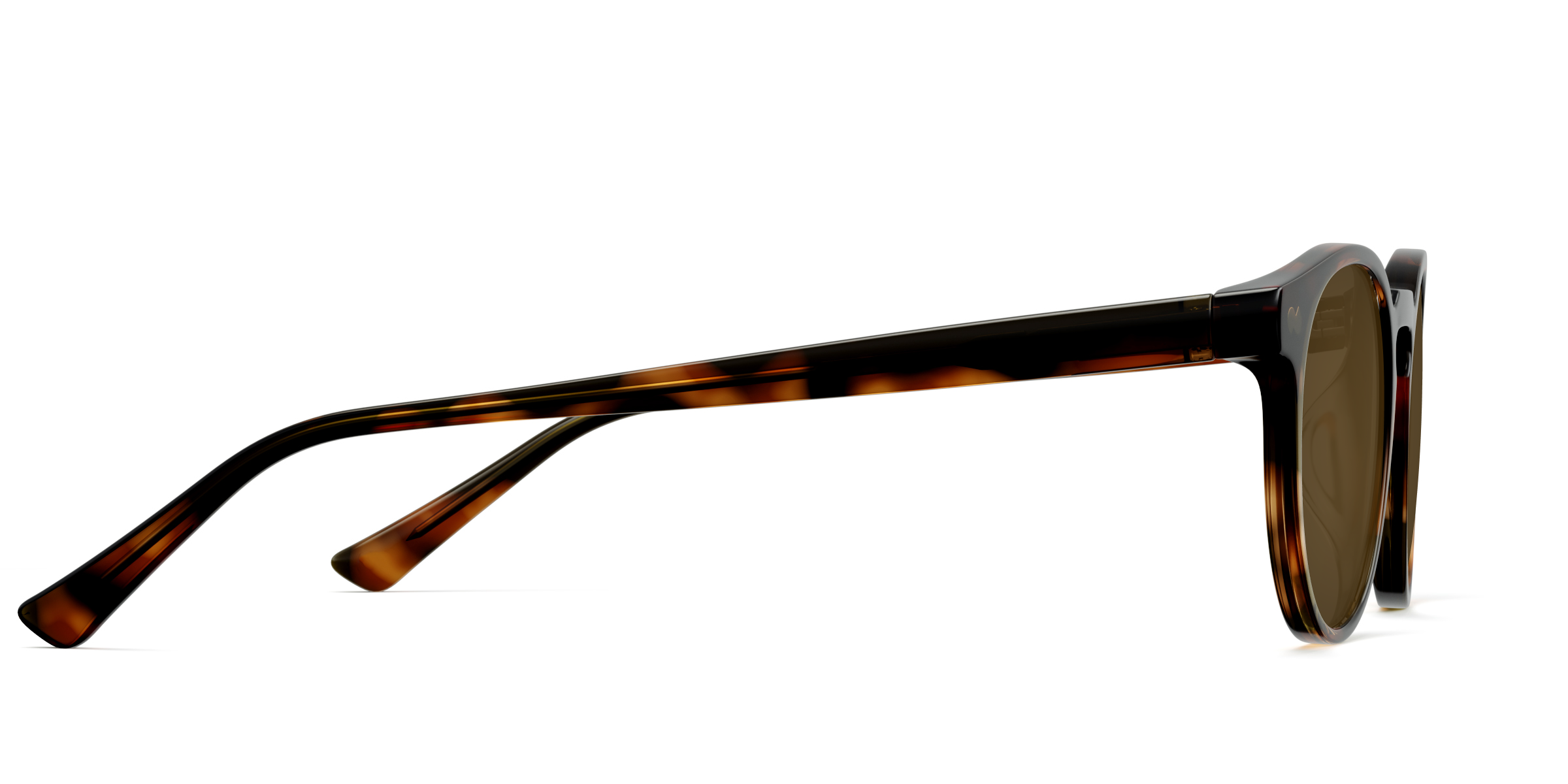 The Soto - Tortoise Sun - Image 6